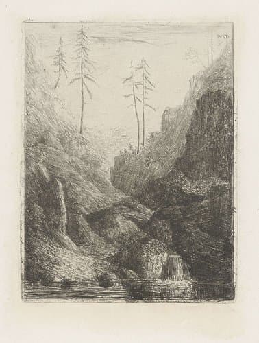 Berglandschap met beek en naaldbomen