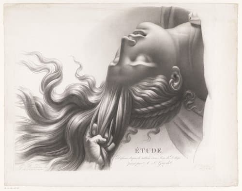 Portrait of Chatillon, Henri-Guillaume