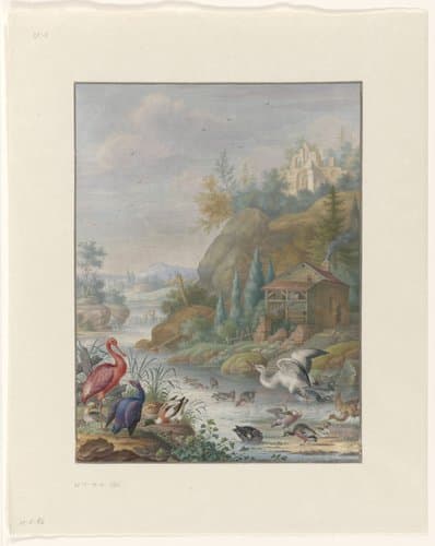 Birds near a Mountain Stream