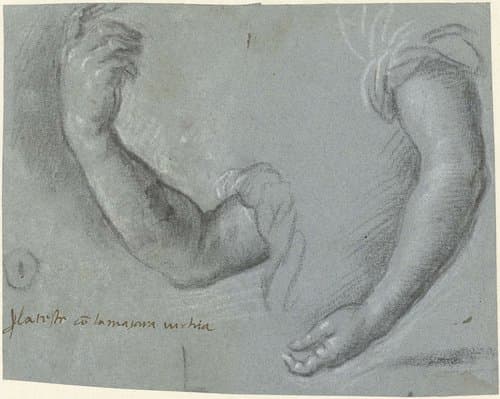 Twee armen van een vrouw