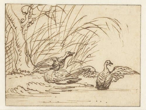 Drie eenden aan de waterkant