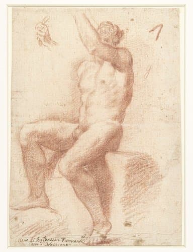 Studie naar een mannelijk naaktmodel