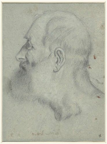 Portrait of Pitati, Bonifazio de'