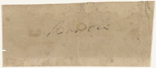 Portrait of Viviani, Antonio