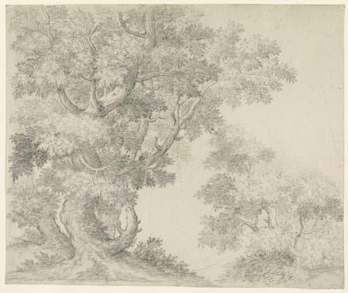 Portrait of Onofri, Crescenzio