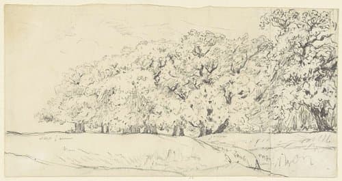 Schetsje van een bosrand