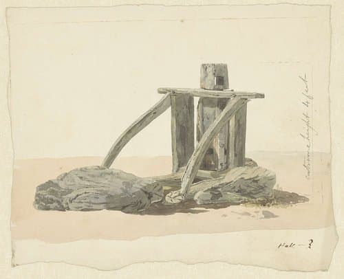 Kaapstander op het strand