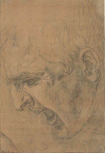 Kop van een schreeuwende man