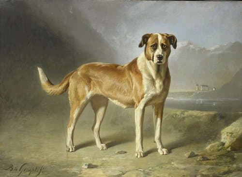 Portrait of Gempt, Bernard te