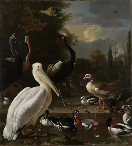 A Pelican and other Birds near a Pool, Known as ‘The Floating Feather’