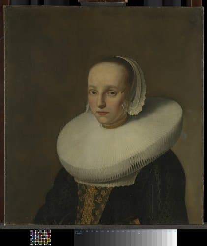 Portret van Anna van der Does (1609-1650)