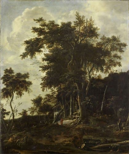 Forest landscape with a woodsman's shed