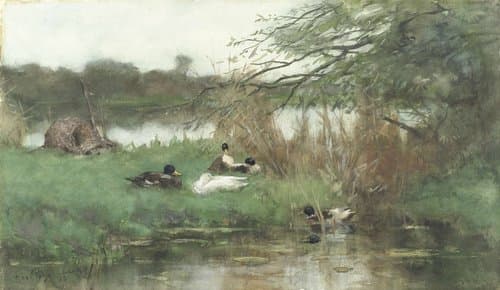 Ducks by the Waterside