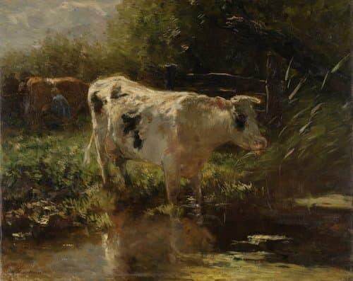 Cow beside a Ditch