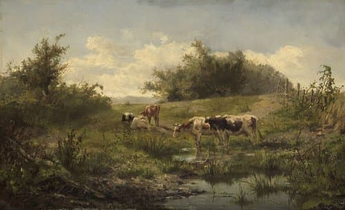 Cows at a Pond