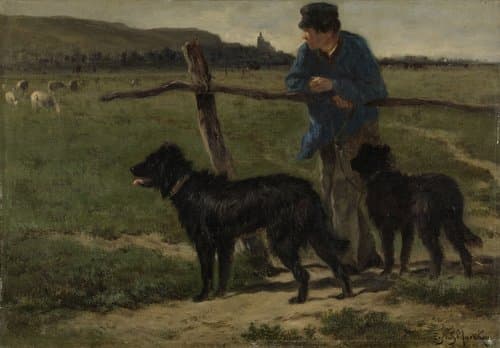 Boer met honden