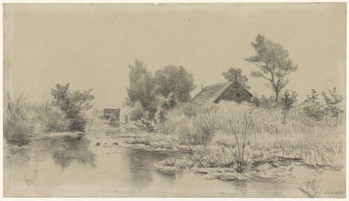 Waterplas met riet, met op de achtergrond een boerderij