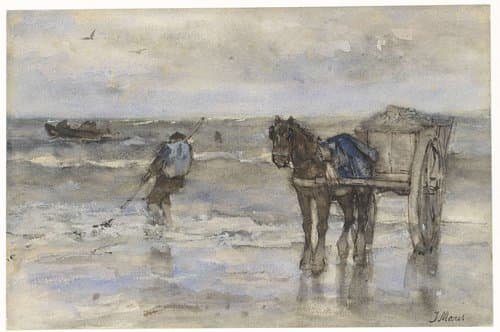 Schelpenvisser op het strand