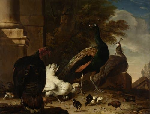 A Hen with Peacocks and a Turkey