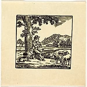 Book Illustration by Thomas Bewick