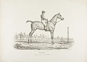 Constance, the Property of Mr. J.G. Schickler by Carle Vernet