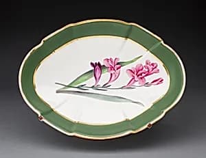 Dish