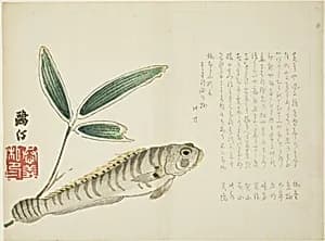 Fish and Bamboo by Maezawa Otei