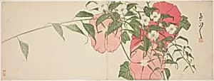 Flowers by Suiseki Sato