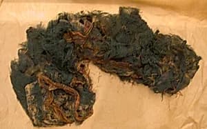 Fragment by Unknown