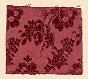 Fragment by Unknown