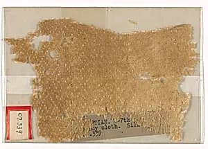 Fragment by Unknown