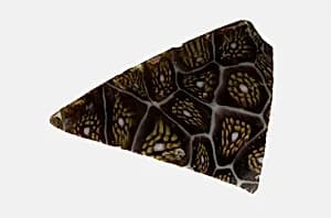 Fragment of a Bowl by Ancient Roman