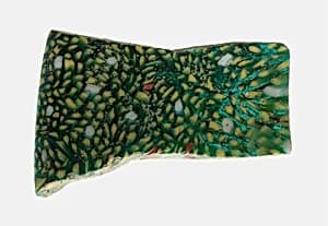 Fragment of a Bowl by Ancient Roman