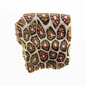 Fragment of a Cup by Ancient Roman