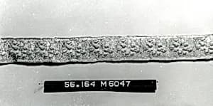 Galloon (Trim) by Unknown