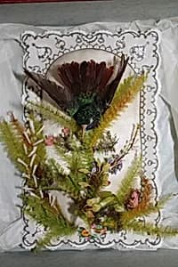 Hummingbird Valentine by Jonathan King