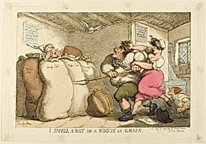I Smell a Rat or a Rogue in Grain by Thomas Rowlandson