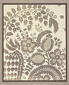 Lace by William Henry Fox Talbot