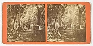 Moss Avenue, Fort George, Florida by Unknown