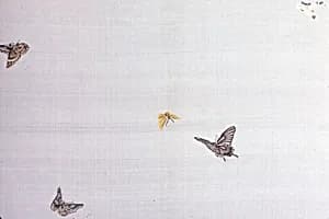 Panel (Intended for a Kimono) by Unknown