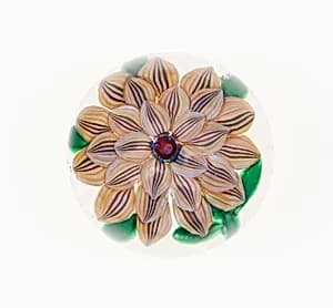 Paperweight by Compagnie de Saint Louis