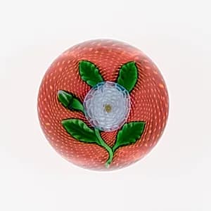 Paperweight by Compagnie de Saint Louis