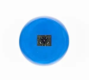 Paperweight by Clichy Glasshouse
