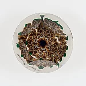Paperweight by Compagnie de Saint Louis