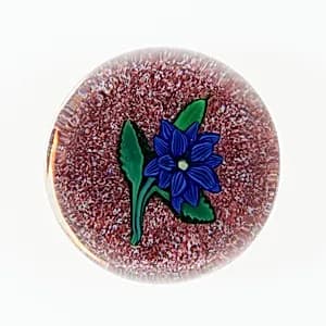 Paperweight by Compagnie de Saint Louis