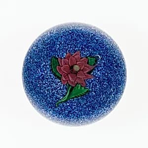 Paperweight by Compagnie de Saint Louis