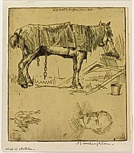 Plate of Sketches by Donald Shaw MacLaughlan