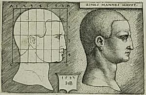 Profile Study of Man's Head by Hans Sebald Beham