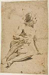 Seated Male Nude