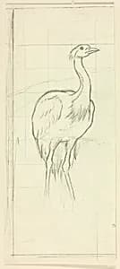 Standing Bird